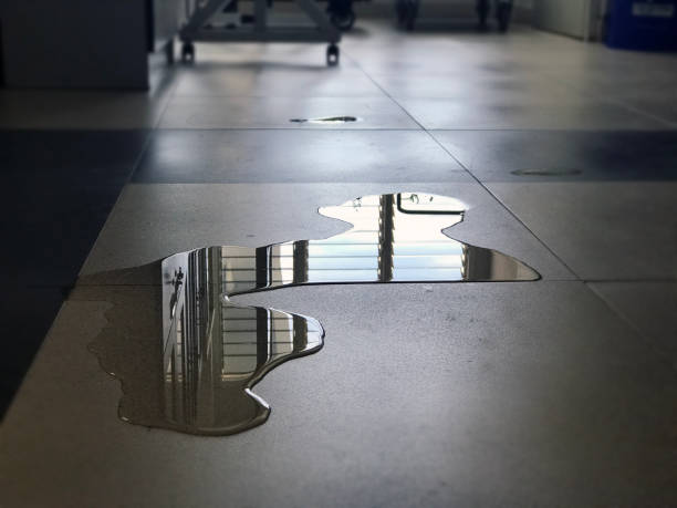 Best Water damage restoration company  in Wyncote, PA