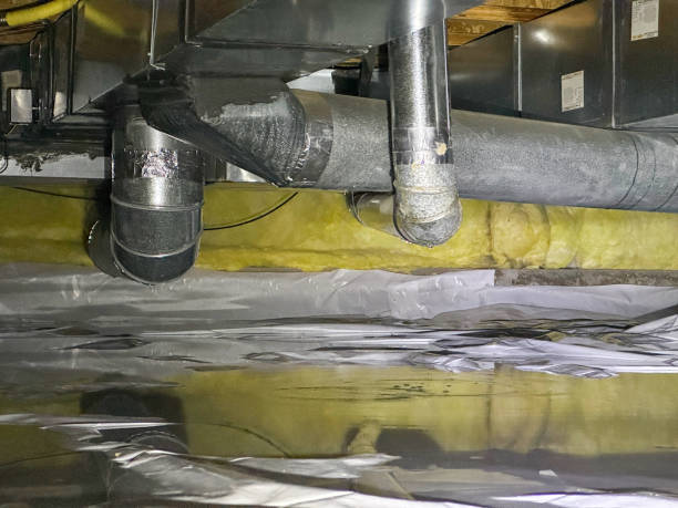 Best Flood restoration services  in Wyncote, PA