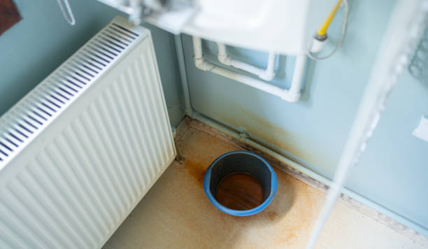 Best Local water damage restoration  in Wyncote, PA