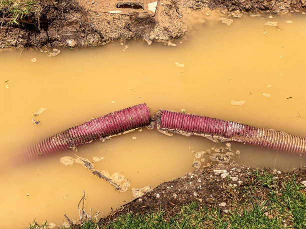 Best Flood restoration services  in Wyncote, PA